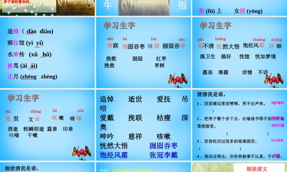 秋五年级语文上册《我的伯父鲁迅先生》课件2 沪教版-沪教版小学五年级上册语文课件