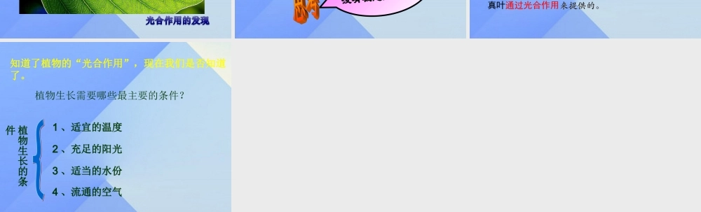 秋五年级科学上册 7.1《光合作用是怎样发现的》课件4 大象版-大象版小学五年级上册自然科学课件
