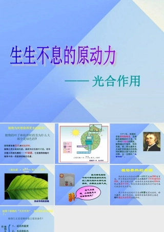 秋五年级科学上册 7.1《光合作用是怎样发现的》课件4 大象版-大象版小学五年级上册自然科学课件