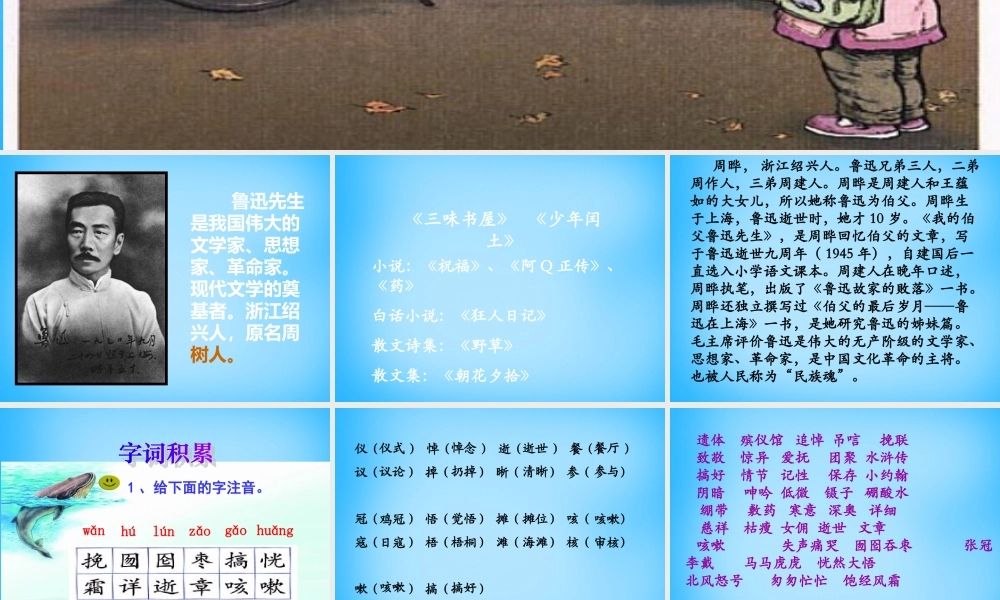 秋五年级语文上册《我的伯父鲁迅先生》课件3 沪教版-沪教版小学五年级上册语文课件
