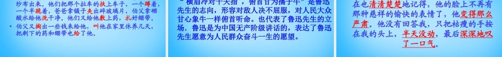 秋五年级语文上册《我的伯父鲁迅先生》课件3 沪教版-沪教版小学五年级上册语文课件