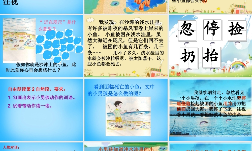 秋二年级语文上册《这条小鱼在乎》课件1 沪教版-沪教版小学二年级上册语文课件