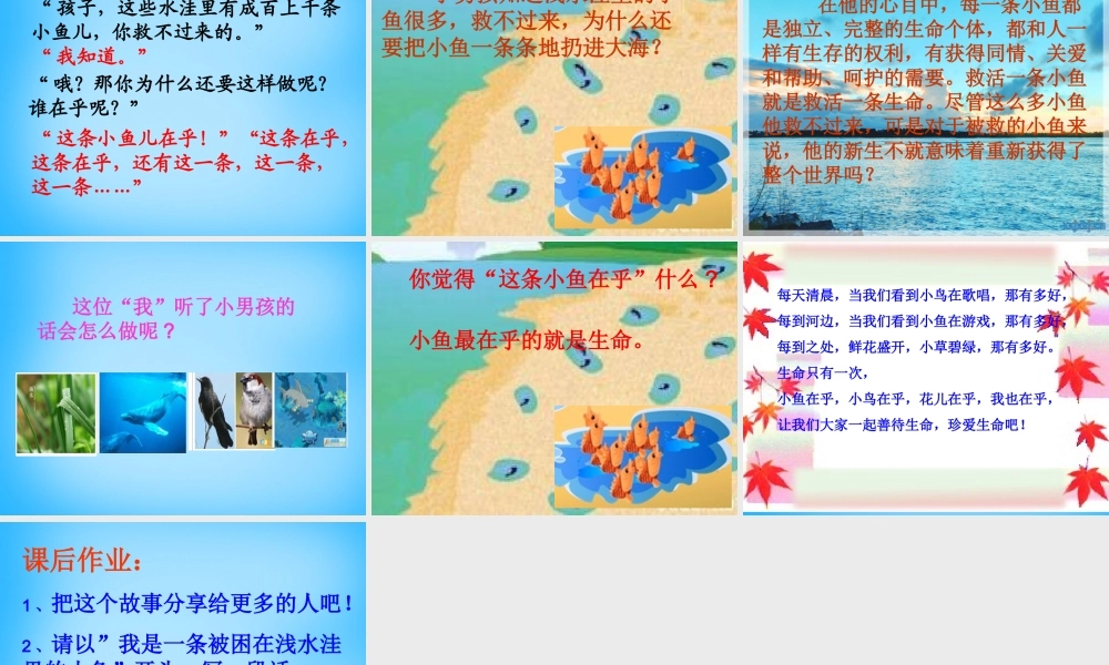 秋二年级语文上册《这条小鱼在乎》课件1 沪教版-沪教版小学二年级上册语文课件