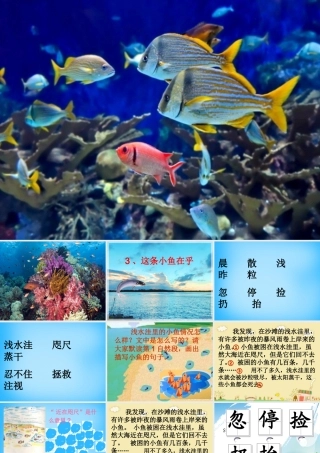 秋二年级语文上册《这条小鱼在乎》课件1 沪教版-沪教版小学二年级上册语文课件