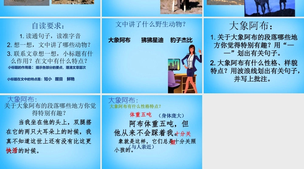 秋五年级语文上册《我的野生动物朋友》课件1 沪教版-沪教版小学五年级上册语文课件