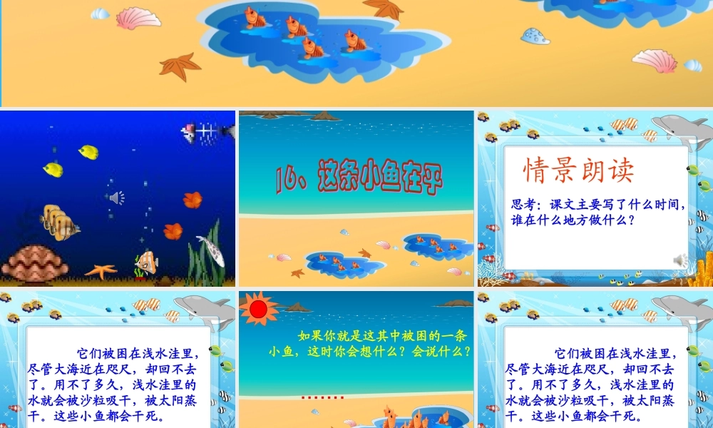 秋二年级语文上册《这条小鱼在乎》课件2 沪教版-沪教版小学二年级上册语文课件