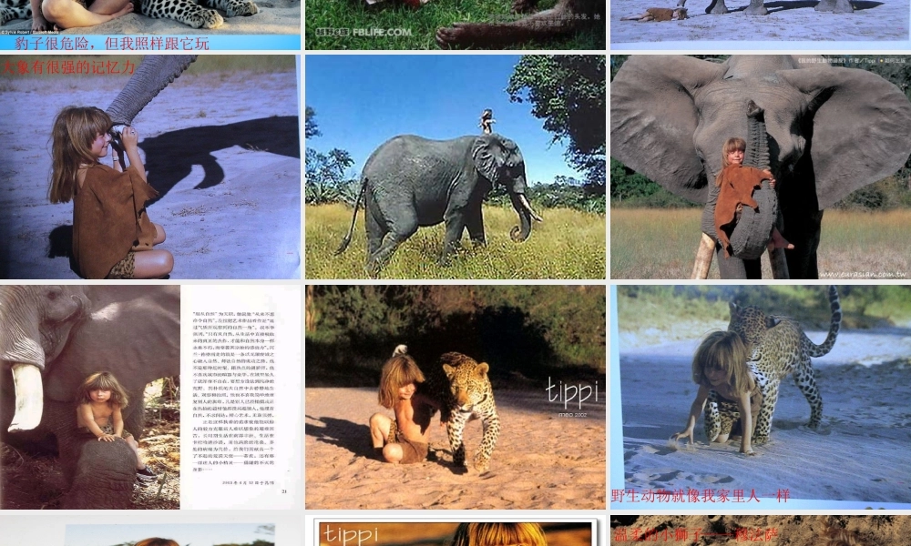 秋五年级语文上册《我的野生动物朋友》课件2 沪教版-沪教版小学五年级上册语文课件