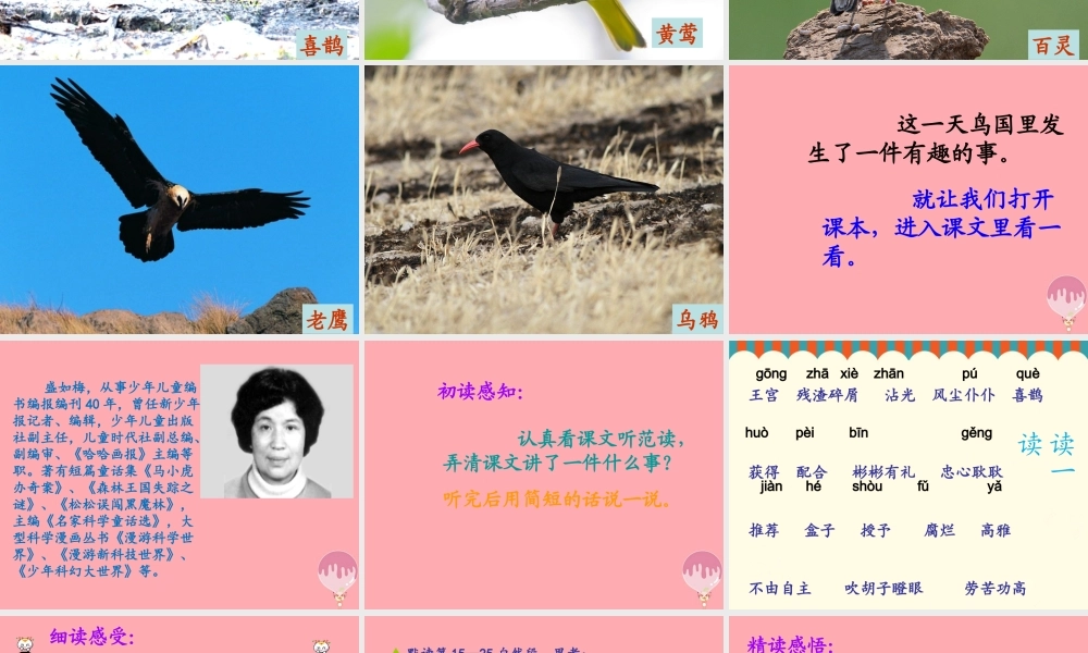 秋五年级语文上册 第2课 金奖章课件 语文S版-语文S版小学五年级上册语文课件