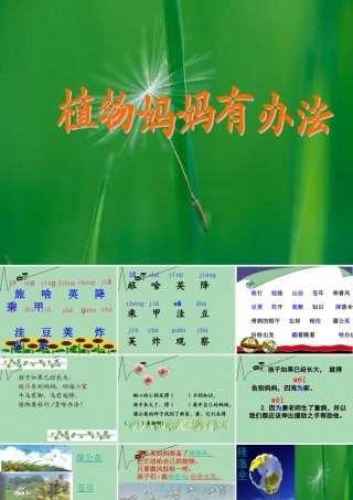 秋二年级语文上册《植物妈妈有办法》课件1 冀教版-冀教版小学二年级上册语文课件