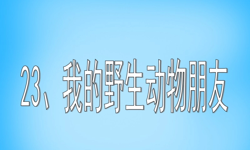 秋五年级语文上册《我的野生动物朋友》课件3 沪教版-沪教版小学五年级上册语文课件