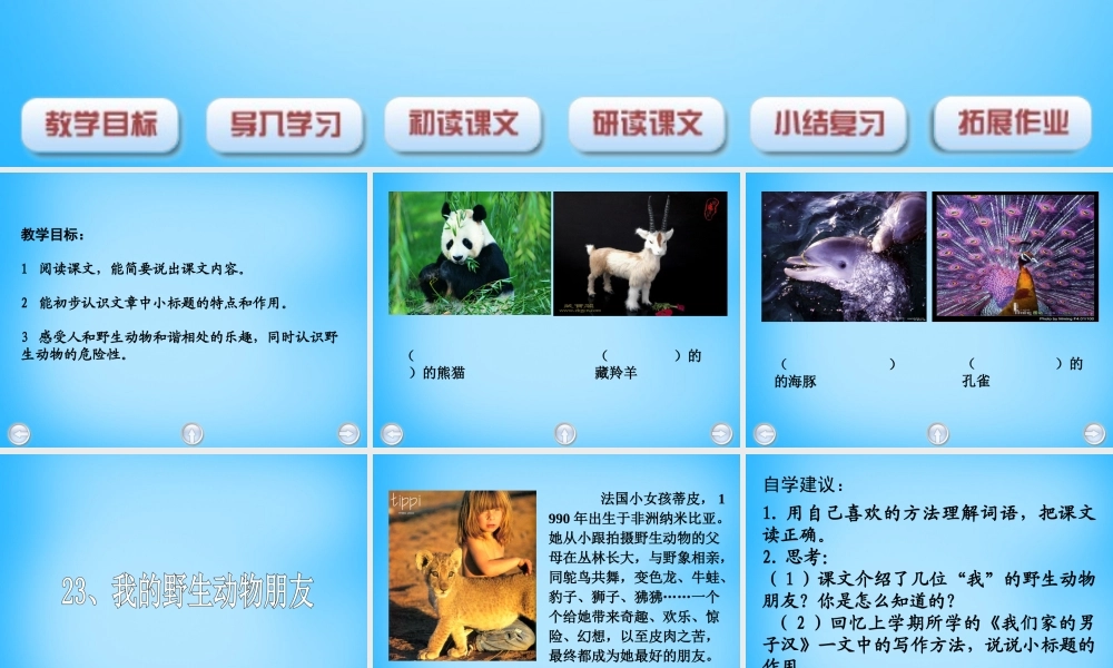 秋五年级语文上册《我的野生动物朋友》课件3 沪教版-沪教版小学五年级上册语文课件