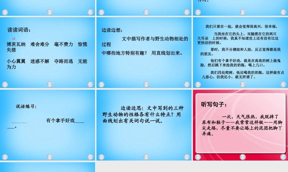 秋五年级语文上册《我的野生动物朋友》课件3 沪教版-沪教版小学五年级上册语文课件