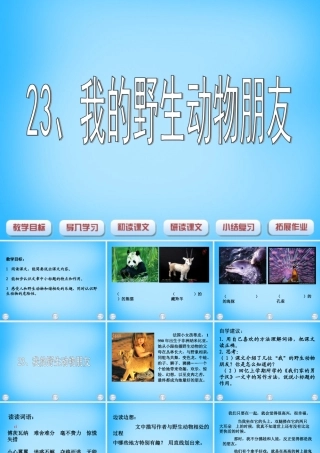 秋五年级语文上册《我的野生动物朋友》课件3 沪教版-沪教版小学五年级上册语文课件
