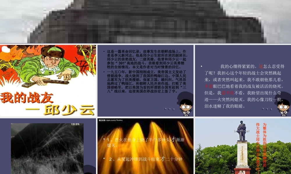 秋五年级语文上册《我的战友邱少云》课件1 冀教版-冀教版小学五年级上册语文课件