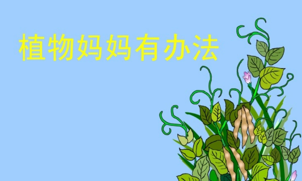 秋二年级语文上册《植物妈妈有办法》课件3 冀教版-冀教版小学二年级上册语文课件