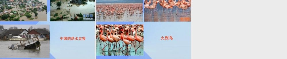 秋六年级英语上册 Lesson 3《It will be sunny this Sunday》课件1 科普版-人教版小学六年级上册英语课件