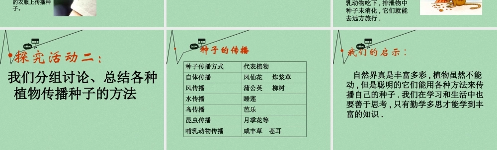 秋二年级语文上册《植物妈妈有办法》课件4 冀教版-冀教版小学二年级上册语文课件