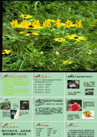 秋二年级语文上册《植物妈妈有办法》课件4 冀教版-冀教版小学二年级上册语文课件