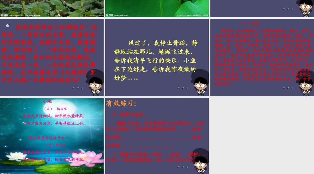 秋三年级语文上册《诗的材料》课件2 冀教版-冀教版小学三年级上册语文课件