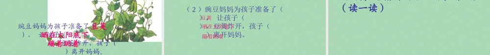 秋二年级语文上册《植物妈妈有办法》课件5 冀教版-冀教版小学二年级上册语文课件