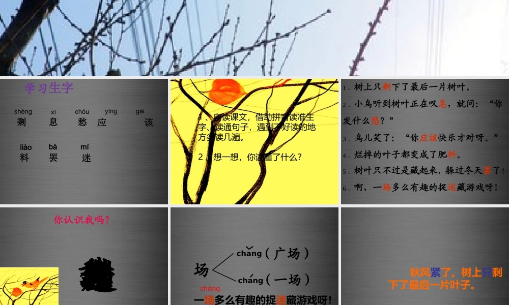 秋二年级语文上册《最后一片树叶》课件1 冀教版-冀教版小学二年级上册语文课件