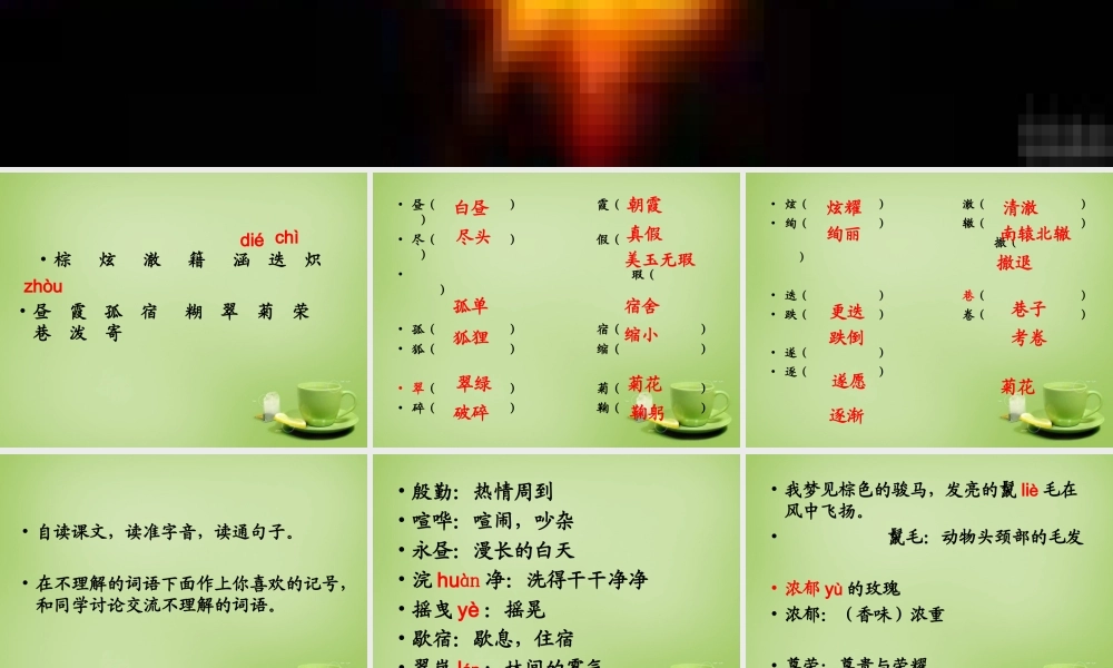 秋五年级语文上册《我喜欢》课件1 北师大版-北师大版小学五年级上册语文课件
