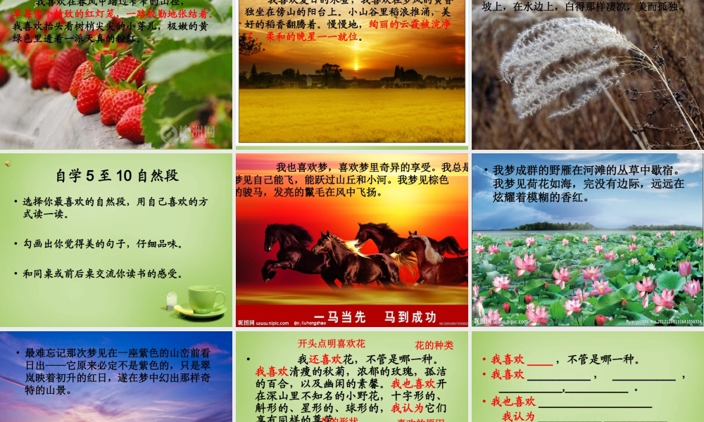 秋五年级语文上册《我喜欢》课件1 北师大版-北师大版小学五年级上册语文课件