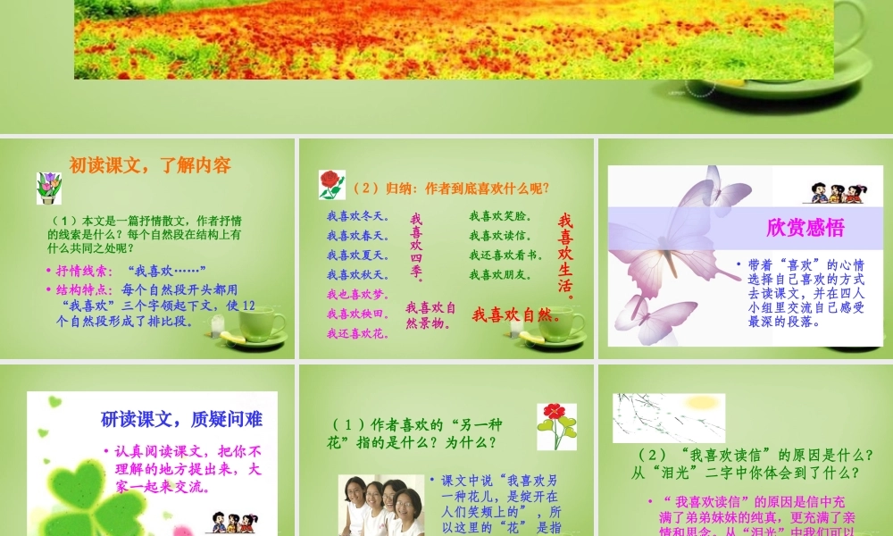 秋五年级语文上册《我喜欢》课件2 北师大版-北师大版小学五年级上册语文课件