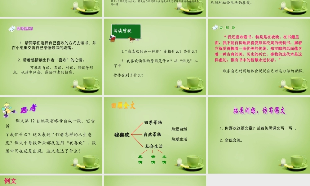 秋五年级语文上册《我喜欢》课件3 北师大版-北师大版小学五年级上册语文课件