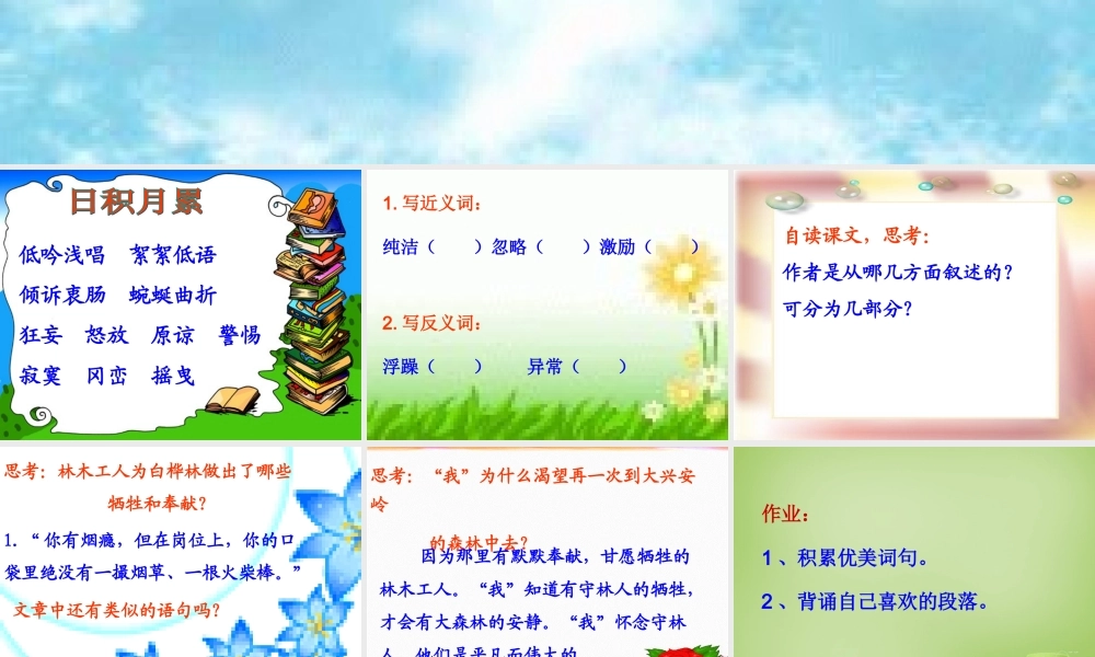 秋六年级语文上册《白桦林的低语》课件1 北师大版-北师大版小学六年级上册语文课件