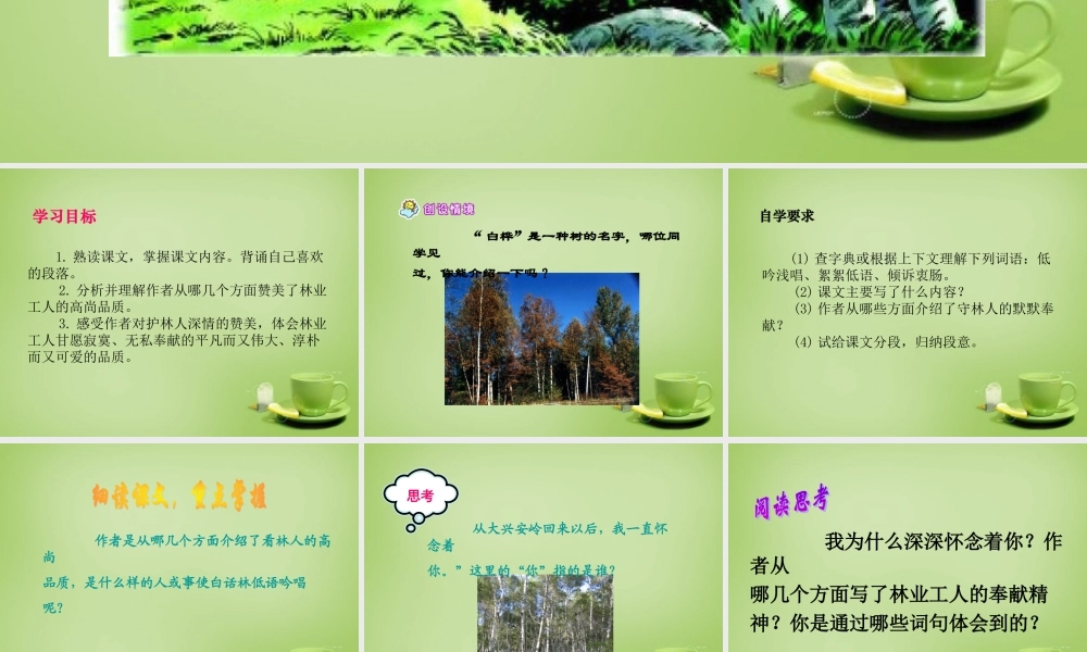 秋六年级语文上册《白桦林的低语》课件2 北师大版-北师大版小学六年级上册语文课件