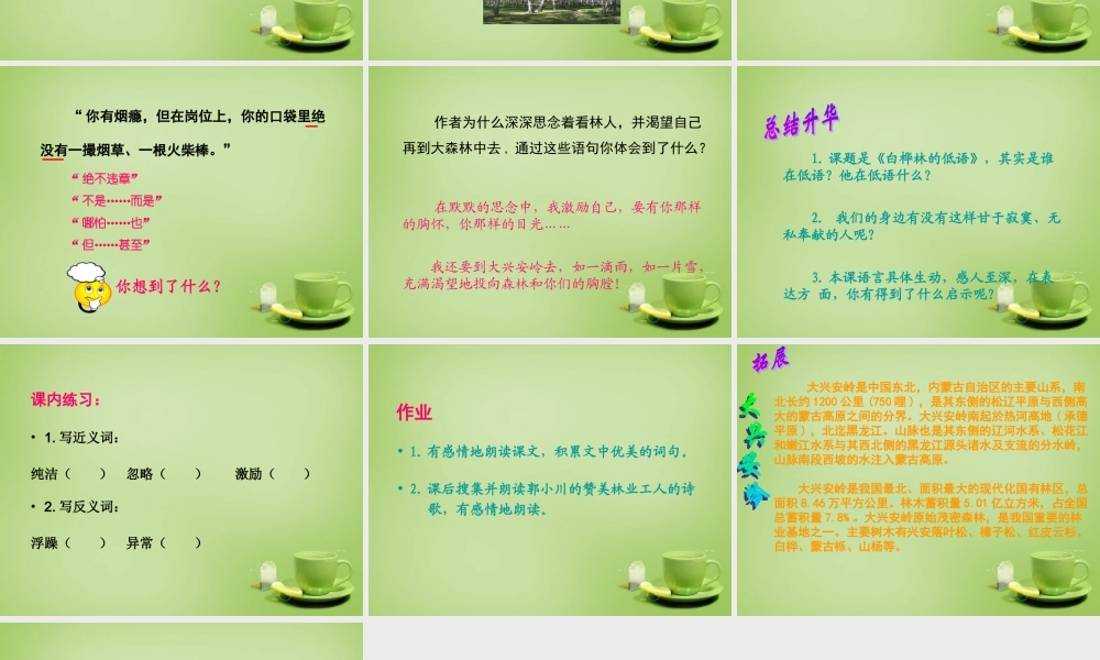 秋六年级语文上册《白桦林的低语》课件2 北师大版-北师大版小学六年级上册语文课件