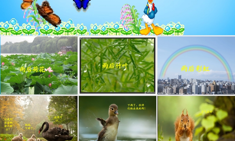 秋三年级语文上册《雨后》课件1 沪教版-沪教版小学三年级上册语文课件