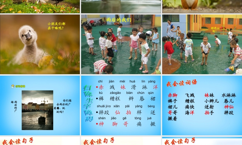 秋三年级语文上册《雨后》课件1 沪教版-沪教版小学三年级上册语文课件