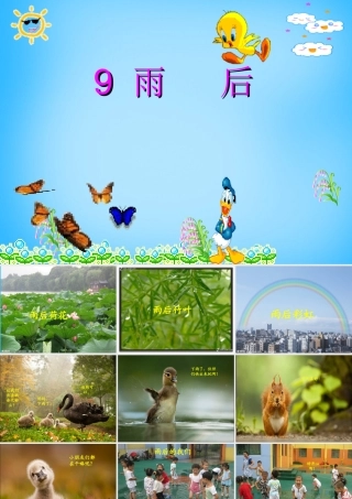 秋三年级语文上册《雨后》课件1 沪教版-沪教版小学三年级上册语文课件