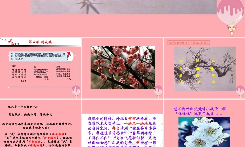 秋五年级语文上册 第6课 梅花魂课件1 新人教版-新人教版小学五年级上册语文课件
