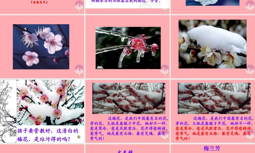 秋五年级语文上册 第6课 梅花魂课件1 新人教版-新人教版小学五年级上册语文课件
