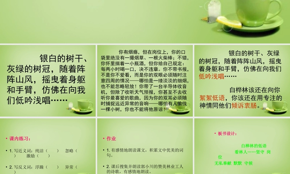 秋六年级语文上册《白桦林的低语》课件3 北师大版-北师大版小学六年级上册语文课件