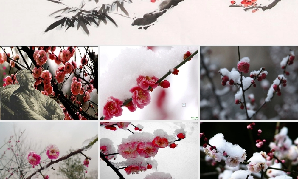 秋五年级语文上册 第6课 梅花魂课件2 新人教版-新人教版小学五年级上册语文课件