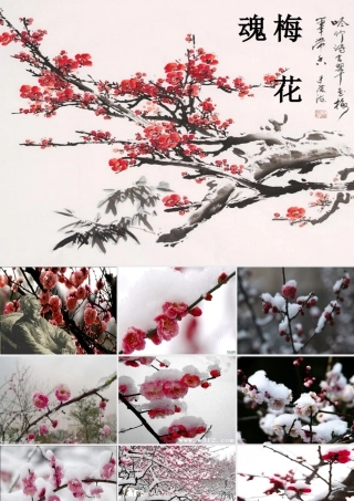 秋五年级语文上册 第6课 梅花魂课件2 新人教版-新人教版小学五年级上册语文课件