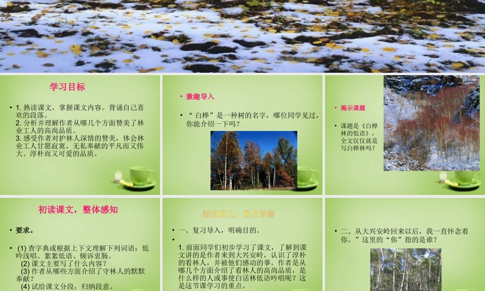 秋六年级语文上册《白桦林的低语》课件4 北师大版-北师大版小学六年级上册语文课件