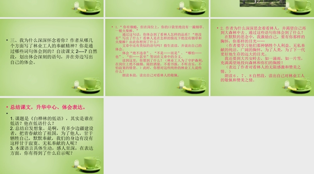 秋六年级语文上册《白桦林的低语》课件4 北师大版-北师大版小学六年级上册语文课件