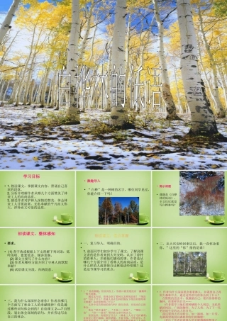秋六年级语文上册《白桦林的低语》课件4 北师大版-北师大版小学六年级上册语文课件