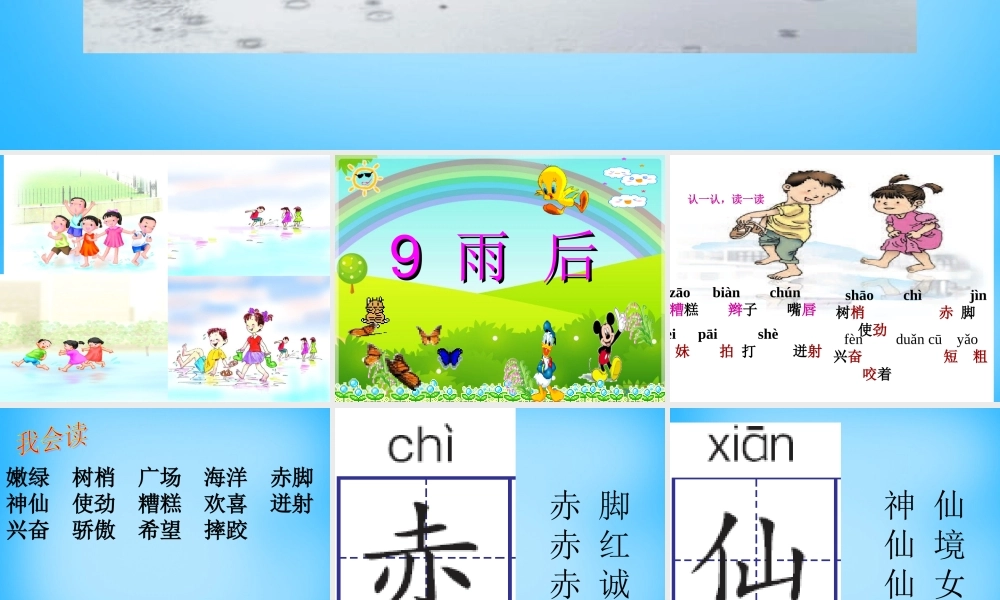 秋三年级语文上册《雨后》课件2 沪教版-沪教版小学三年级上册语文课件