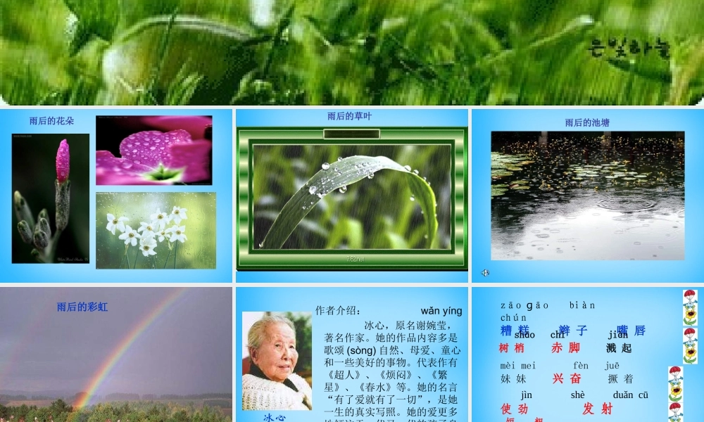 秋三年级语文上册《雨后》课件3 沪教版-沪教版小学三年级上册语文课件