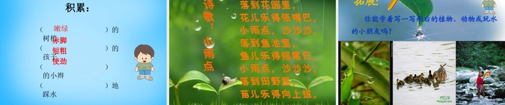 秋三年级语文上册《雨后》课件3 沪教版-沪教版小学三年级上册语文课件