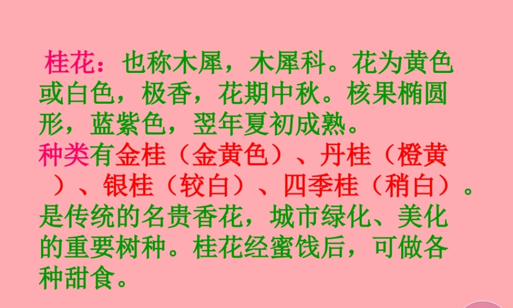 秋五年级语文上册 第7课 桂花雨课件1 新人教版-新人教版小学五年级上册语文课件