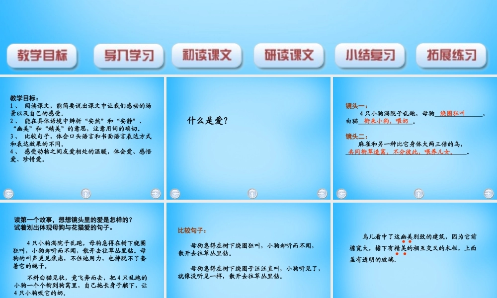 秋五年级语文上册《无言的爱》课件1 沪教版-沪教版小学五年级上册语文课件