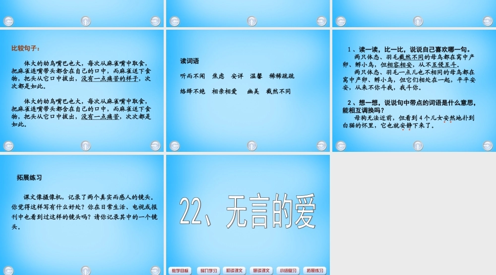 秋五年级语文上册《无言的爱》课件1 沪教版-沪教版小学五年级上册语文课件