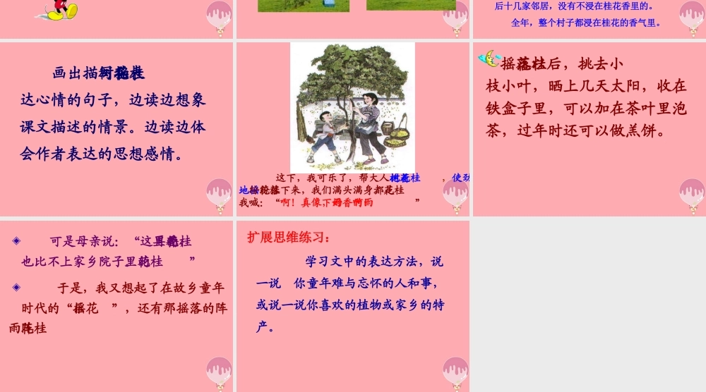 秋五年级语文上册 第7课 桂花雨课件2 新人教版-新人教版小学五年级上册语文课件